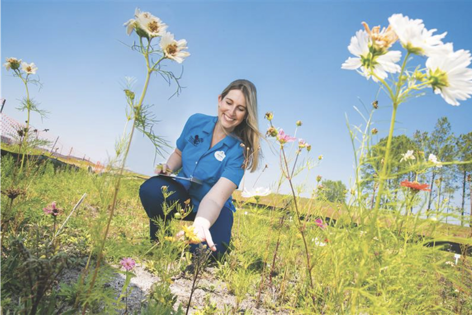 ollinator Habitat Alt text: A Disney’s Animal, Sciences and Environment cast member surveying the pollinator habitats