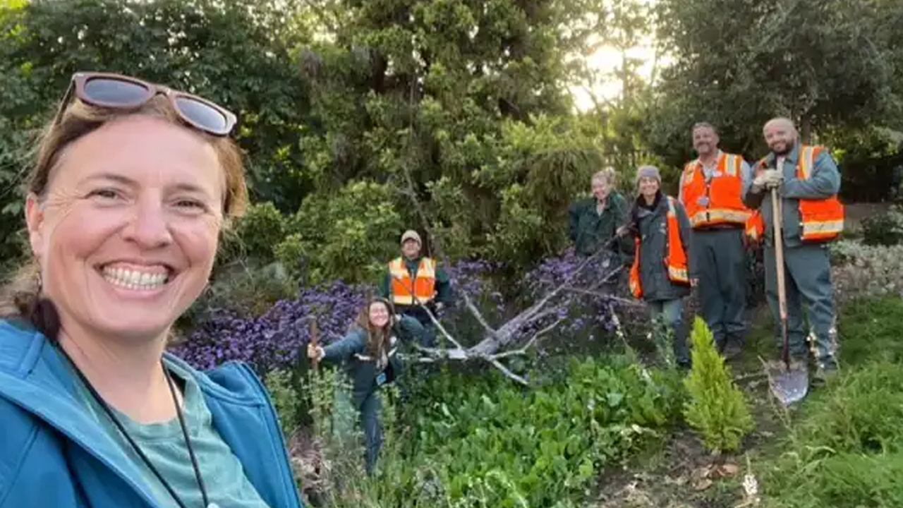 The team out in the trees. 